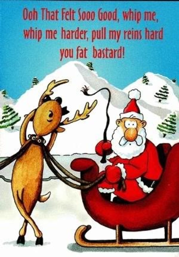 11 Funny Christmas Images And Pictures - picture 6