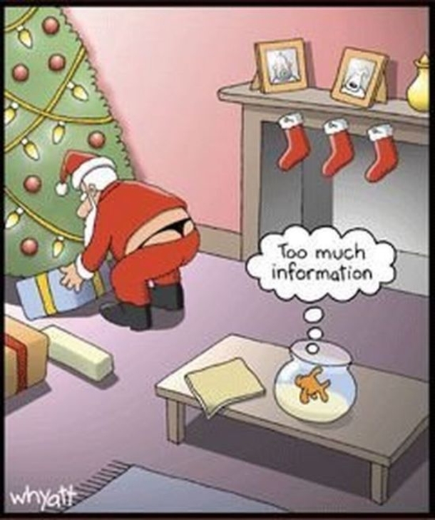 11 Funny Christmas Images And Pictures - picture 8