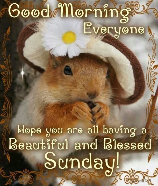 11 Good Morning Quotes For Sunday - picture 12