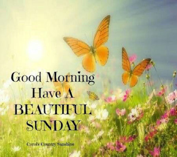 11 Good Morning Quotes For Sunday - picture 9