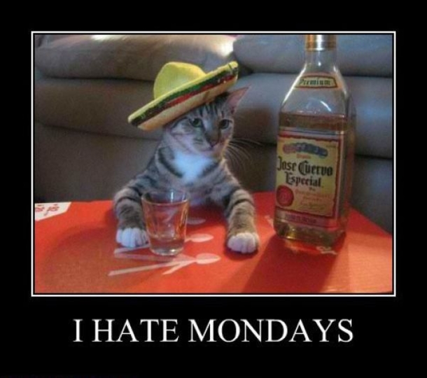 11 Quotes To Celebrate Your Hate For Monday - picture 4