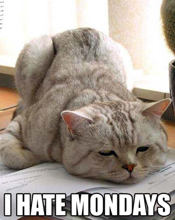 11 Quotes To Celebrate Your Hate For Monday - picture 6