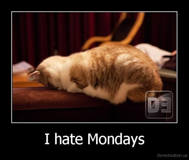 11 Quotes To Celebrate Your Hate For Monday - picture 7