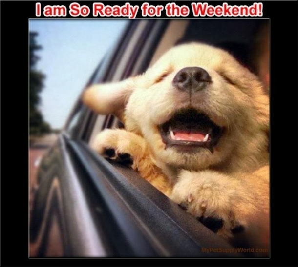 11 Quotes To Get Ready For The Weekend - picture 12