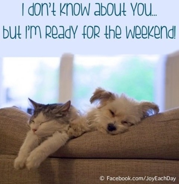 11 Quotes To Get Ready For The Weekend - picture 5
