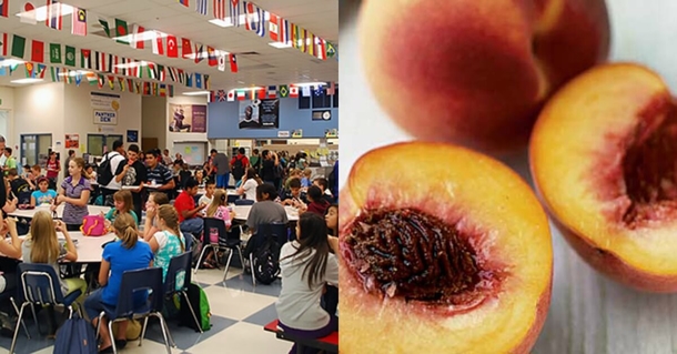11 Year Old Girl Faces Criminal Charges After How She Tried To Eat A Peach - picture 2