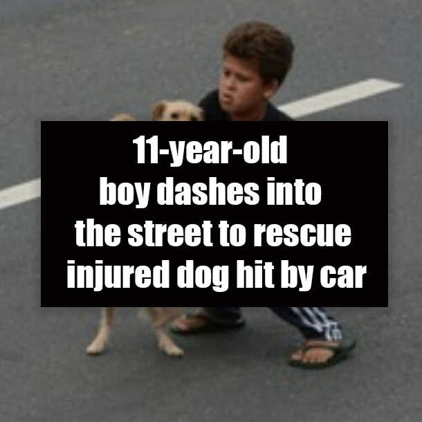 11-year-old boy dashes into the street to rescue injured dog hit by car