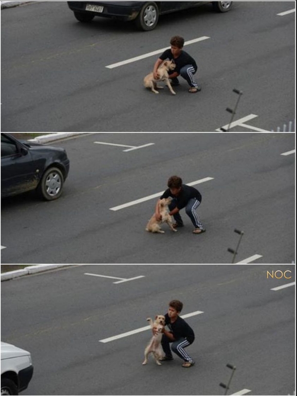 11-year-old boy dashes into the street to rescue injured dog hit by car - picture 2