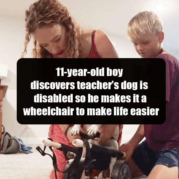 11-year-old boy discovers teacher’s dog is disabled so he makes it a wheelchair to make life easier