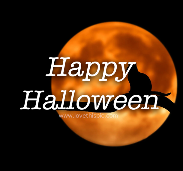 110 Halloween Quotes, Captions And Messages For 2022 - picture 2