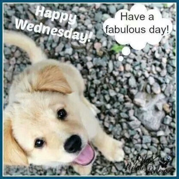 12 Best Happy Wednesday Quotes - picture 7