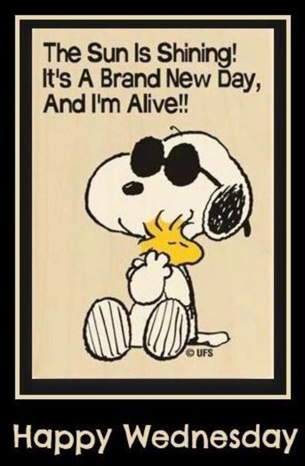 12 Best Happy Wednesday Quotes - picture 9