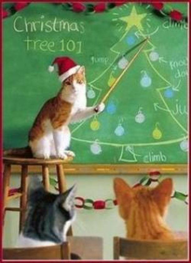 12 Cats Who Are Fed Up With Christmas Trees - picture 13