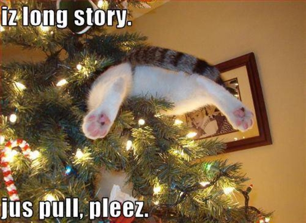 12 Cats Who Are Fed Up With Christmas Trees - picture 4