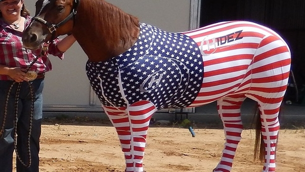 12 Extremely Patriotic Americans Ever - picture 9