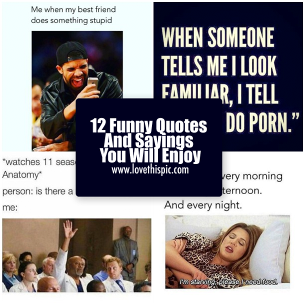 12 Funny Quotes And Sayings You Will Enjoy
