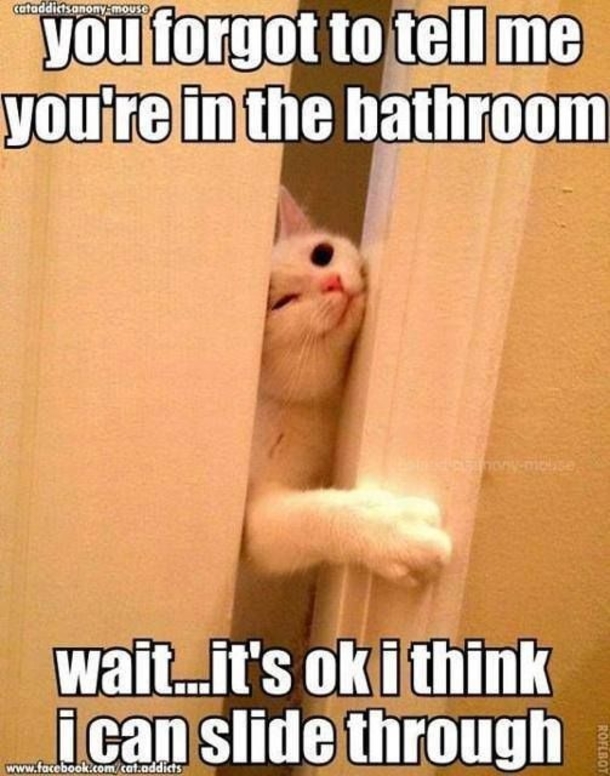 12 Funny Quotes That Reflect On Life - picture 12