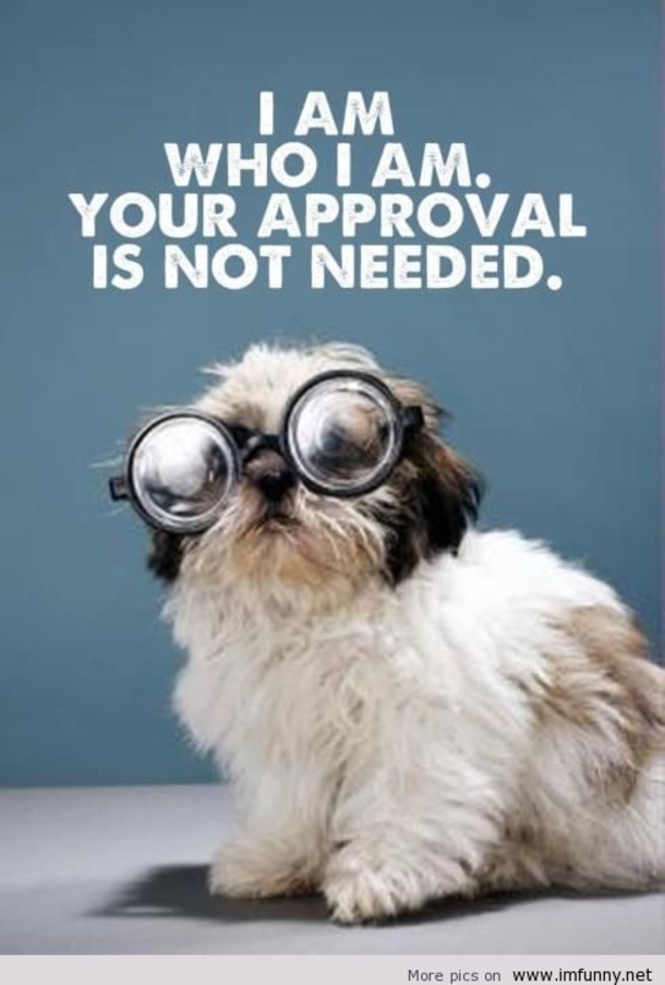 12 Funny Quotes That Reflect On Life - picture 2