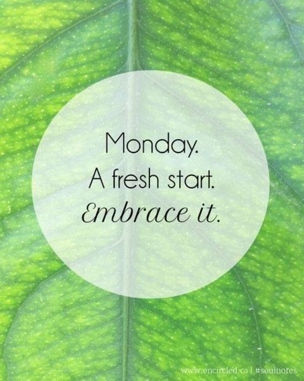 12 Random Monday Quotes And Sayings - picture 2