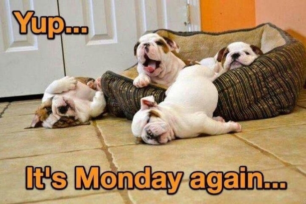 12 Random Monday Quotes And Sayings - picture 3