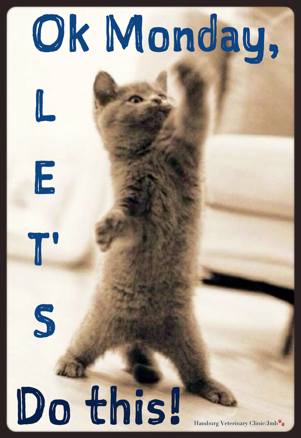 12 Random Monday Quotes And Sayings - picture 8