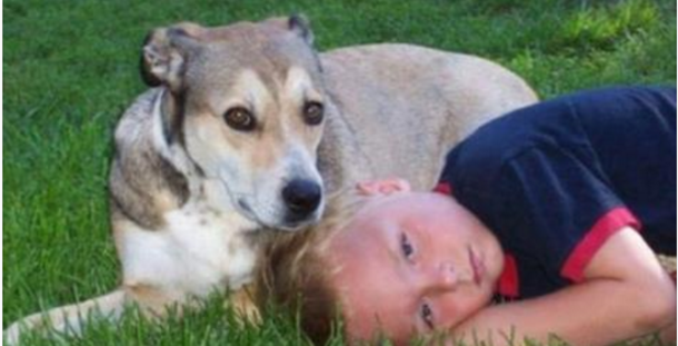 12 Year Old Boy Dies After School Takes His Asthma Inhaler - picture 2