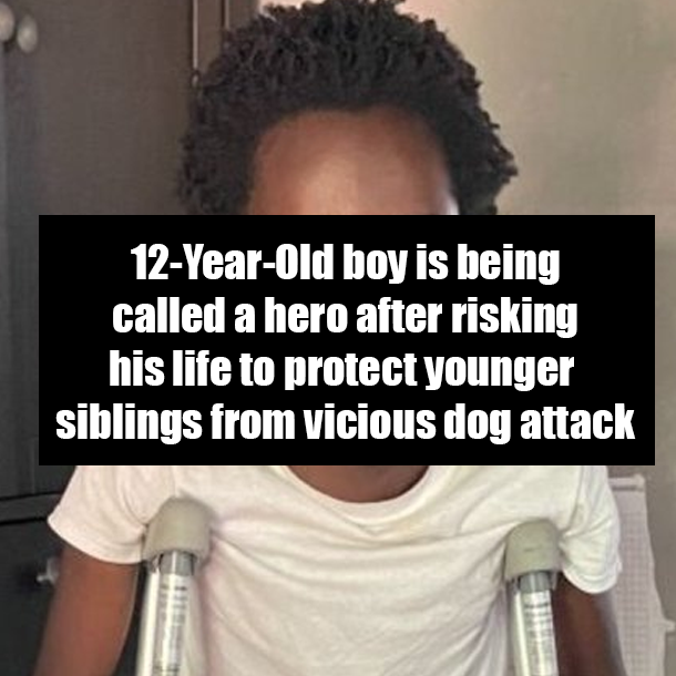 12-Year-Old boy is being called a hero after risking his life to protect younger siblings from vicious dog attack