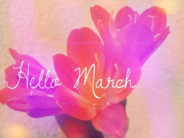120 Hello March Quotes - picture 101