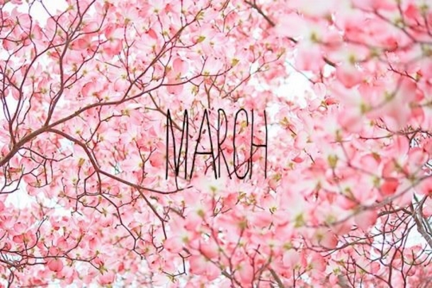 120 Hello March Quotes - picture 103