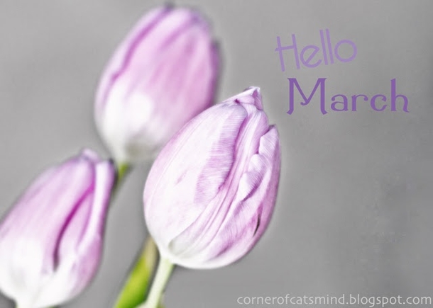 120 Hello March Quotes - picture 34