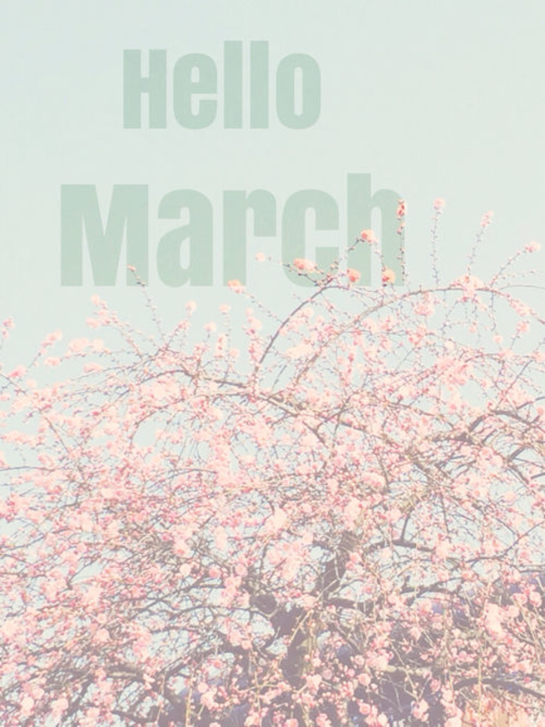 120 Hello March Quotes - picture 8