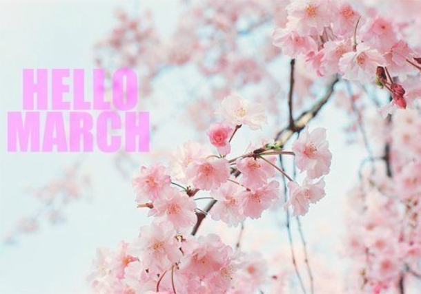 120 Hello March Quotes - picture 45