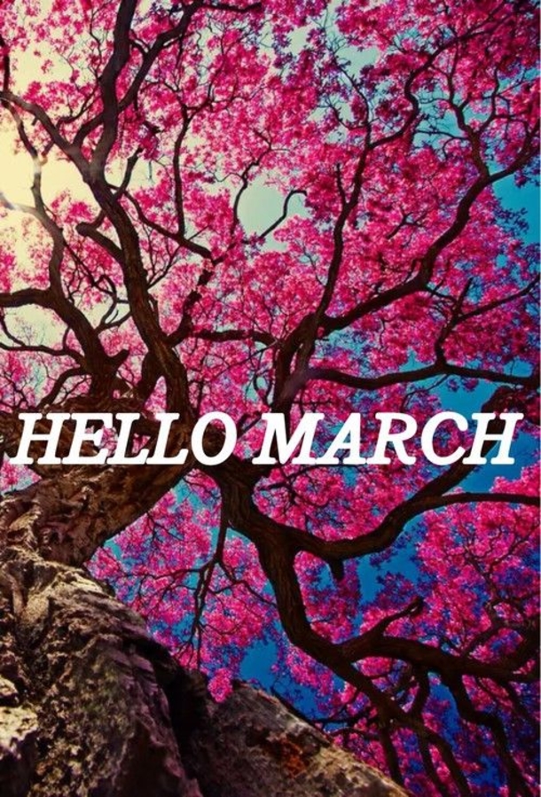 120 Hello March Quotes - picture 51