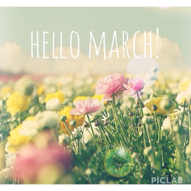 120 Hello March Quotes - picture 54