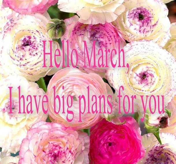120 Hello March Quotes - picture 70