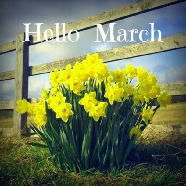 120 Hello March Quotes - picture 73
