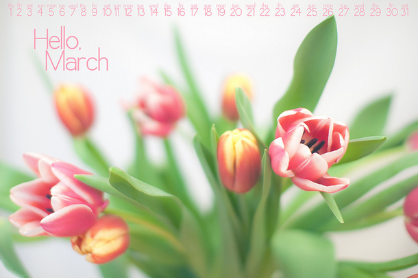 120 Hello March Quotes - picture 78