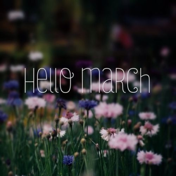 120 Hello March Quotes - picture 80