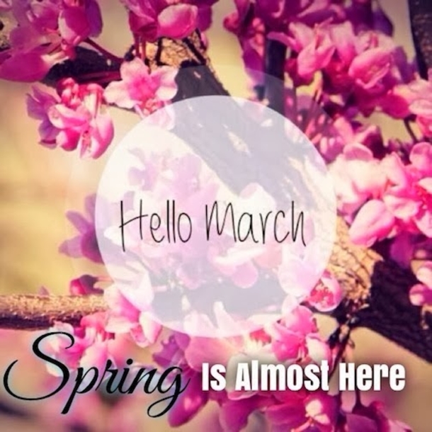 120 Hello March Quotes - picture 87