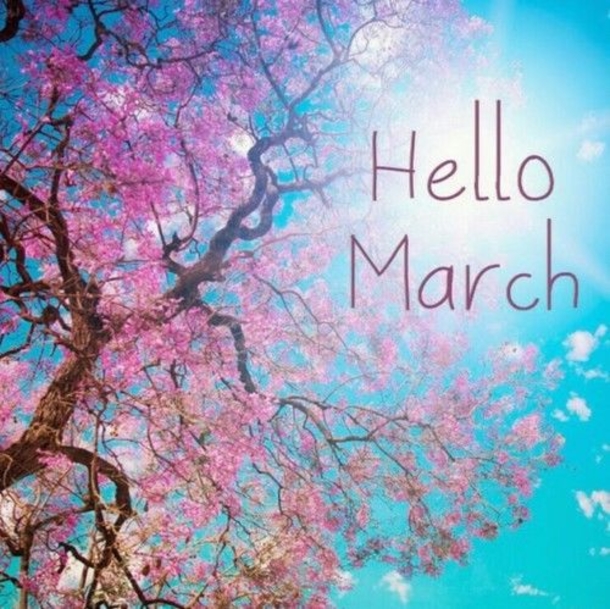 120 Hello March Quotes - picture 32