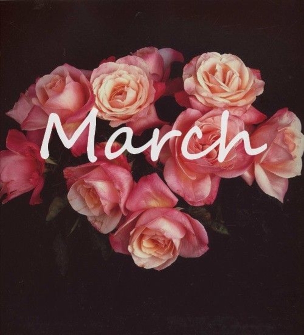 120 Hello March Quotes - picture 97
