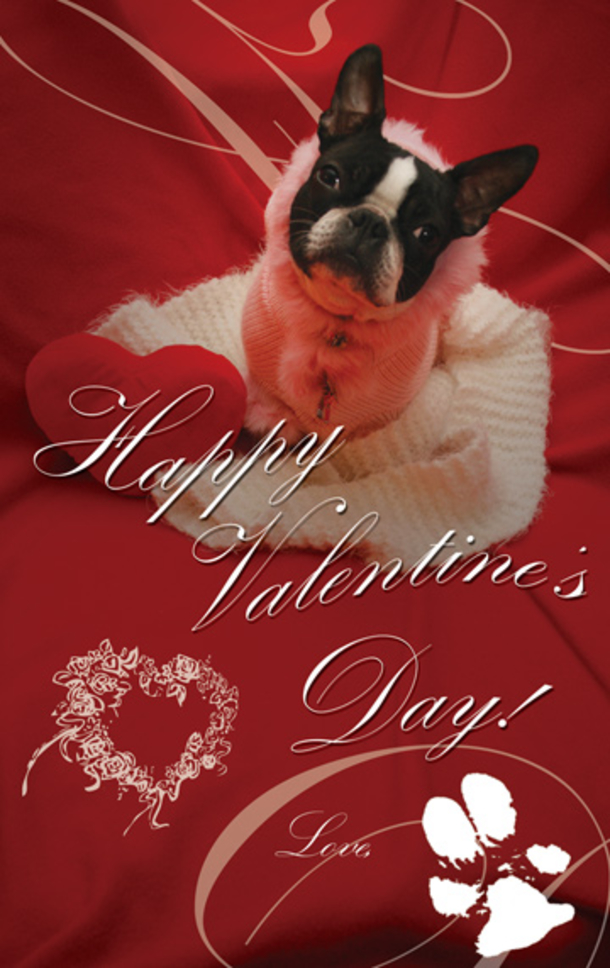 125 Valentines Day Love Comments And Greetings - picture 74