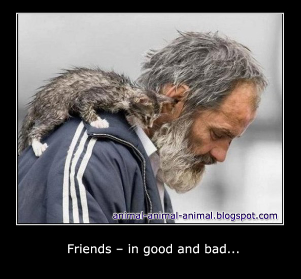 13 Funny Animal Memes To Make Your Day - picture 13