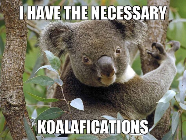 13 Funny Animal Memes To Make Your Day - picture 3