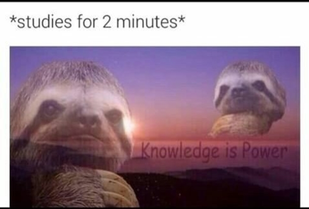 13 Hilarious Truths About Everyday Life - picture 14