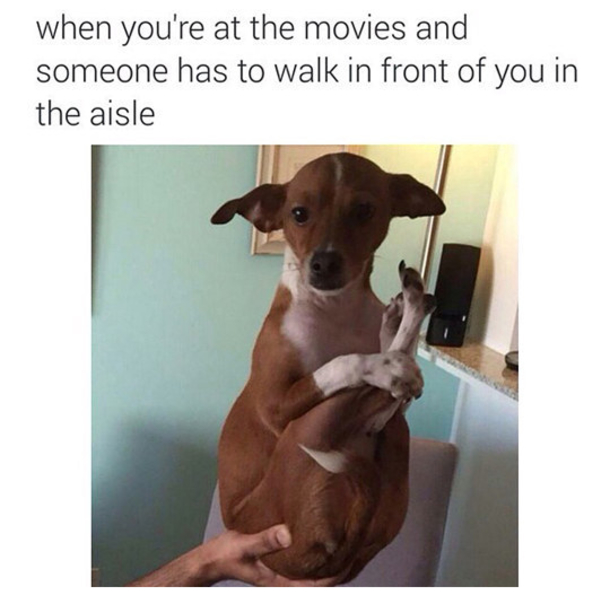 13 Hilarious Truths About Everyday Life - picture 6