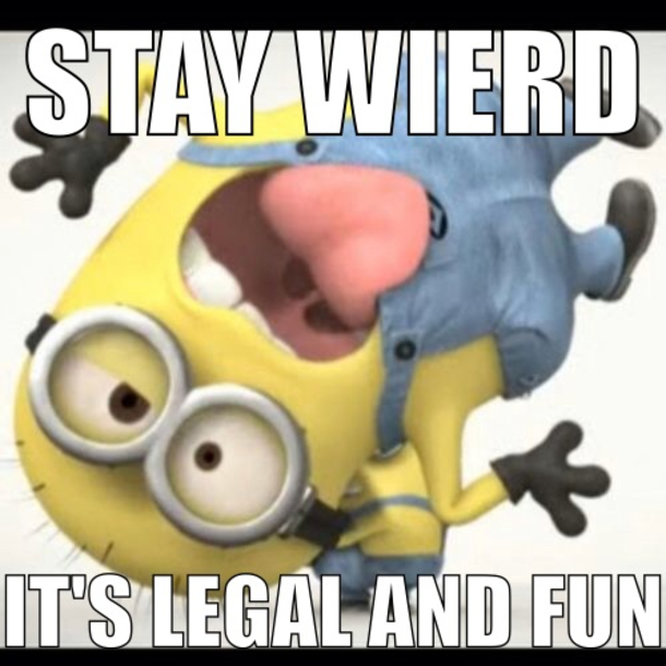 13 Of The Best Minion Memes On The Internet - picture 11