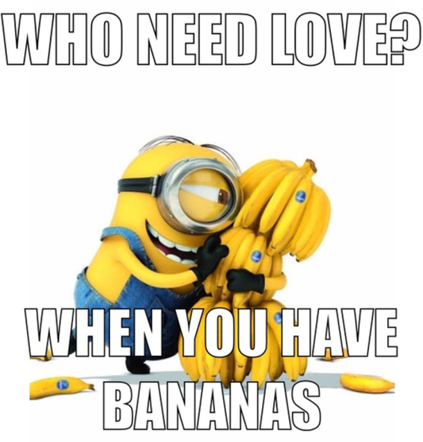 13 Of The Best Minion Memes On The Internet - picture 14