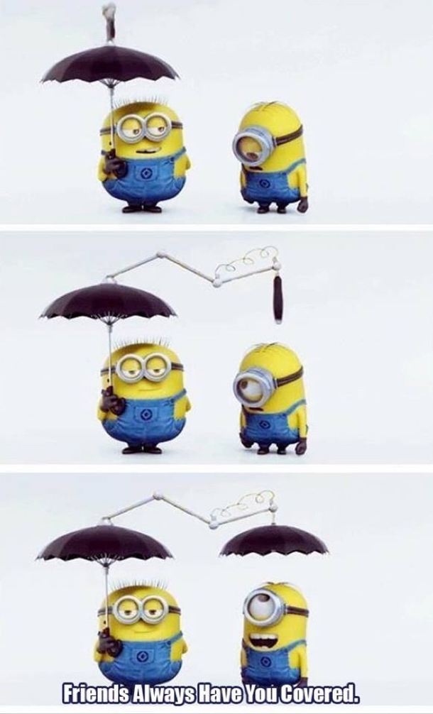 13 Of The Best Minion Memes On The Internet - picture 3
