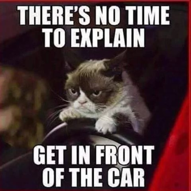 13 Popular Funny Quotes - picture 12
